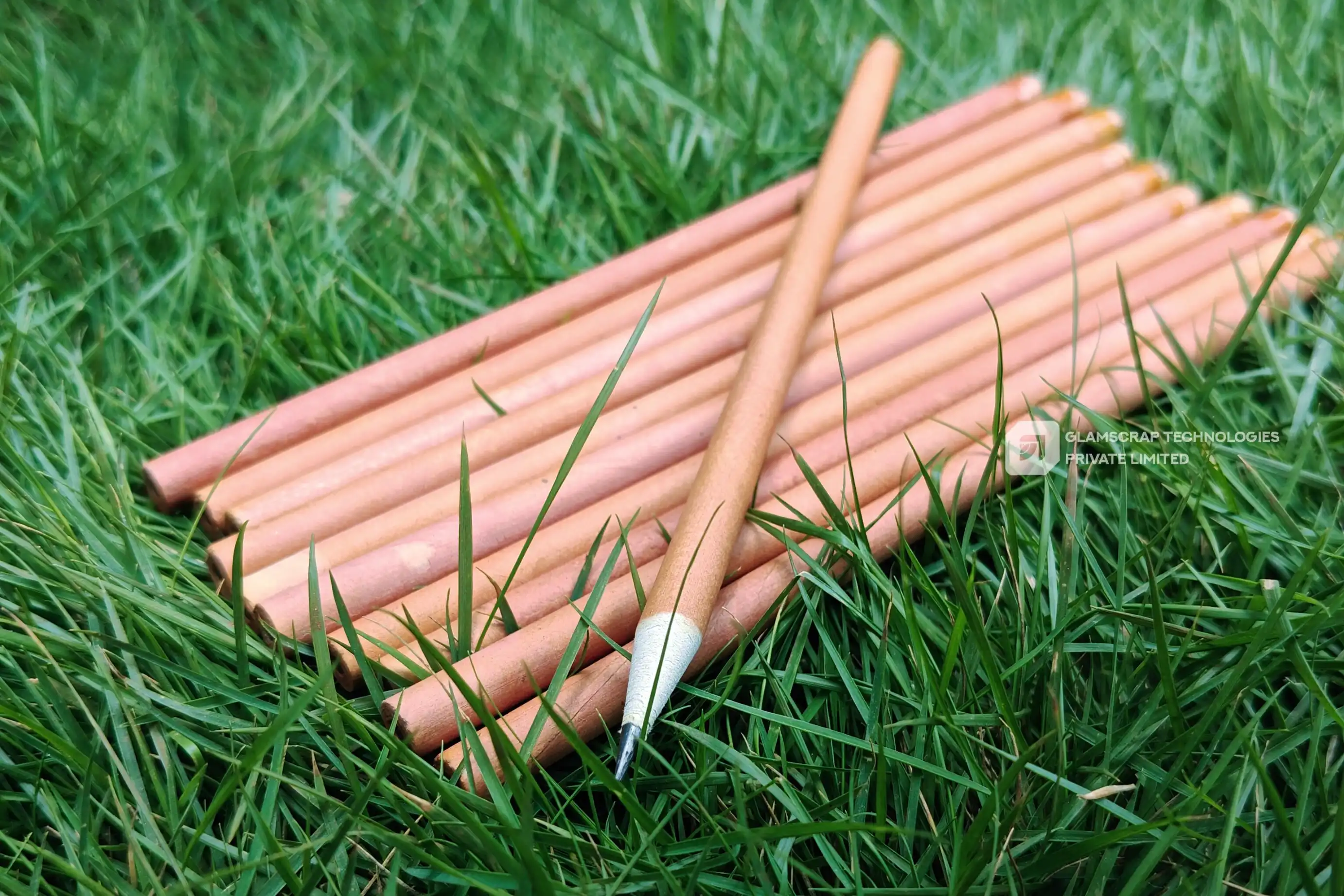 Recycled Seed Pencils - Variety