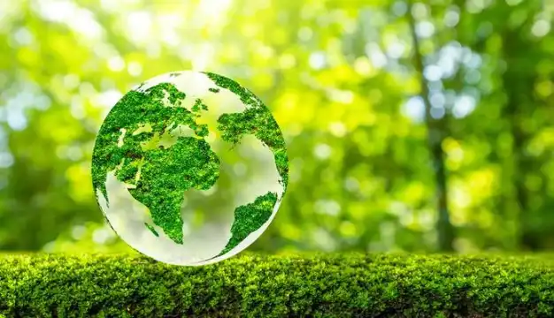 Sustainable manufacturing