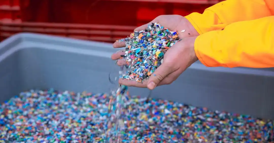 PET Bottle Shredding